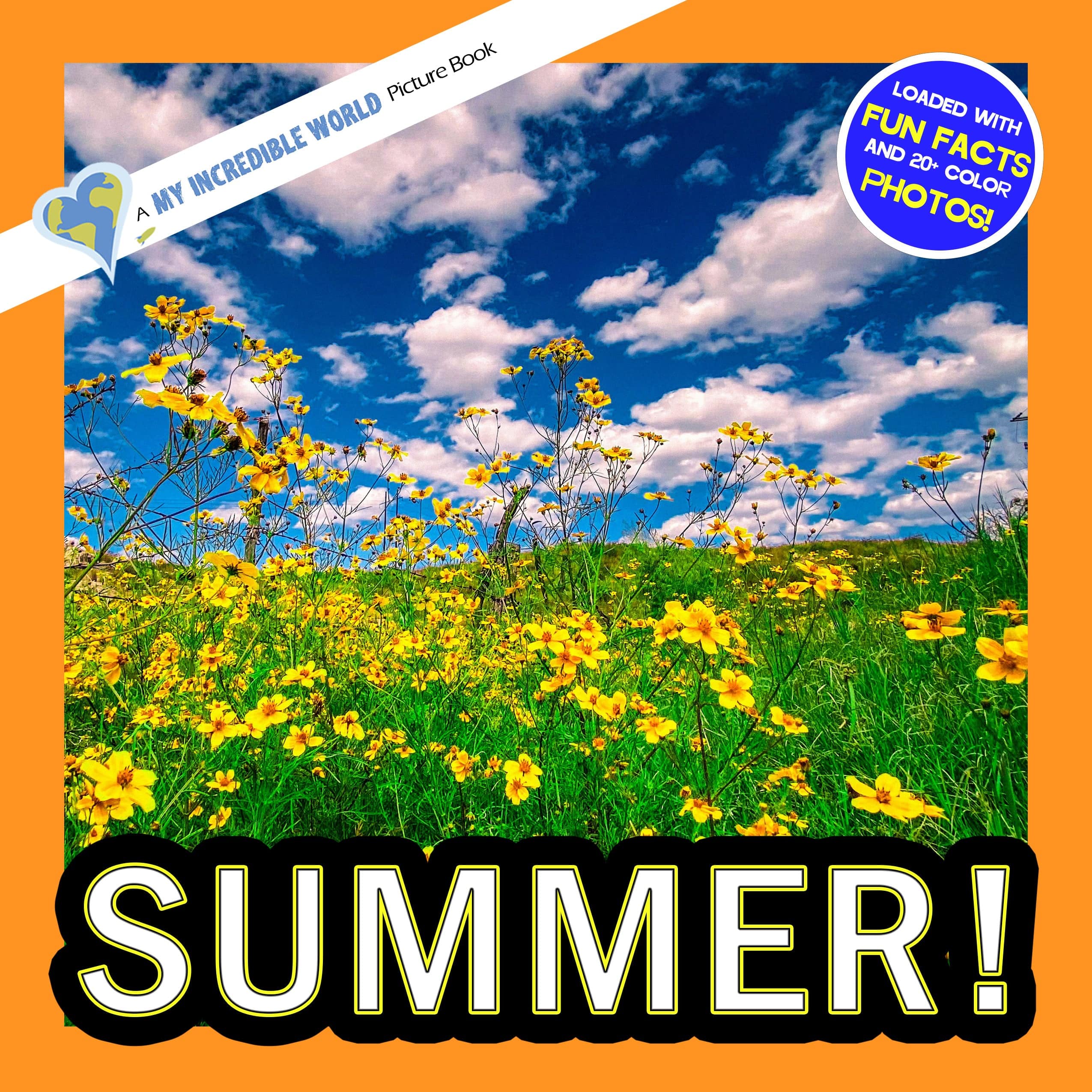 Summer! A My Incredible World Picture Book for Children